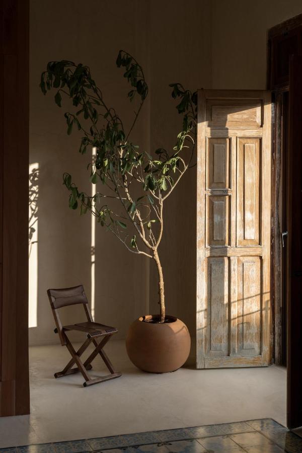 Narrativ Lofts - Numen - Stylish Hideaway Apartman Campeche Kültér fotó